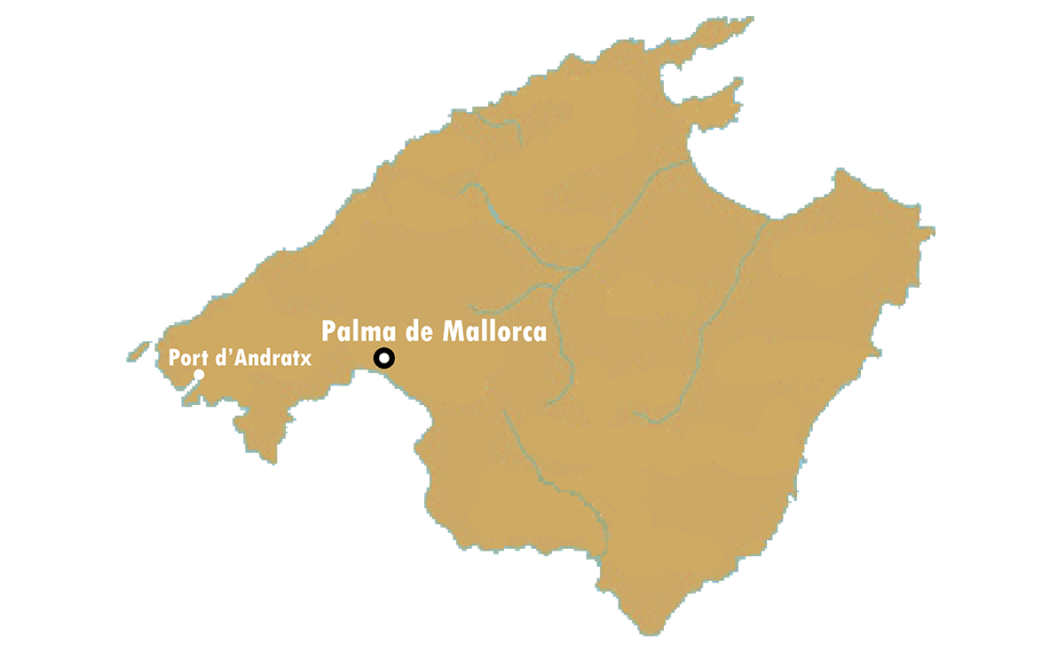 palma de mallorca